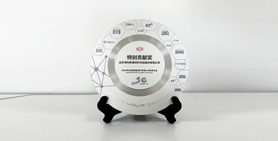 风吟通信新源连续四年再度荣获比亚迪2024年“特别贡献奖”